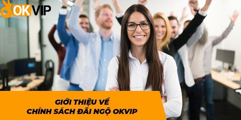 Chi tiết chính sách đãi ngộ vị trí Digital Marketing tại OKVIP