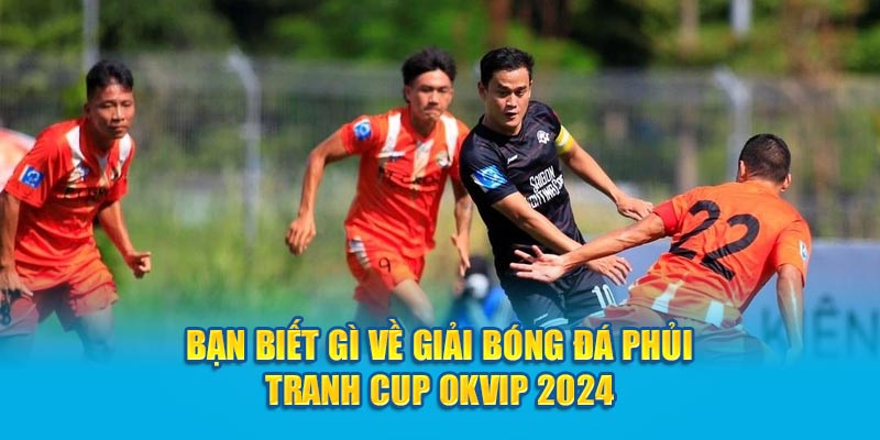 Bạn biết gì về giải bóng đá Phủi tranh cup OKVIP 2024
